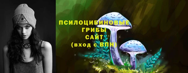 СК Нефтекумск