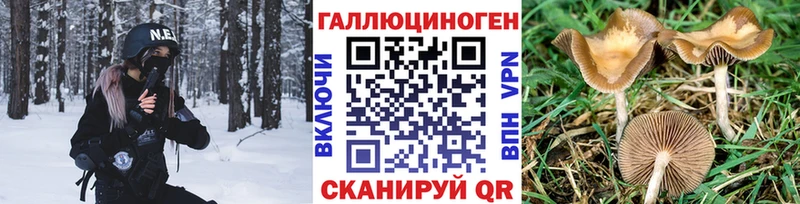 купить наркотик Касли Псилоцибиновые грибы мицелий