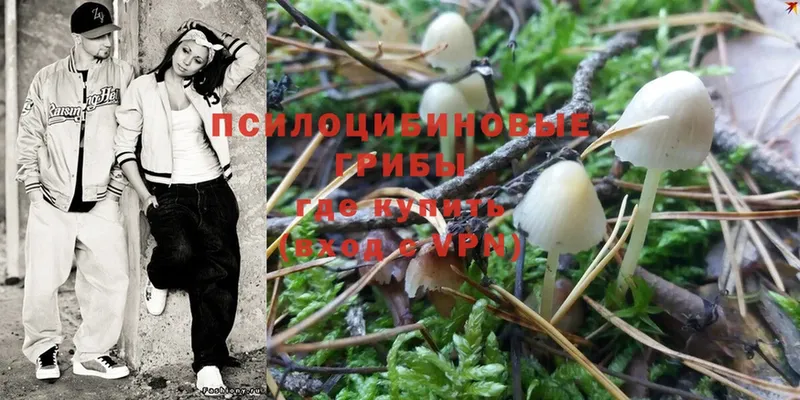 где купить наркоту  Касли  Галлюциногенные грибы MAGIC MUSHROOMS 